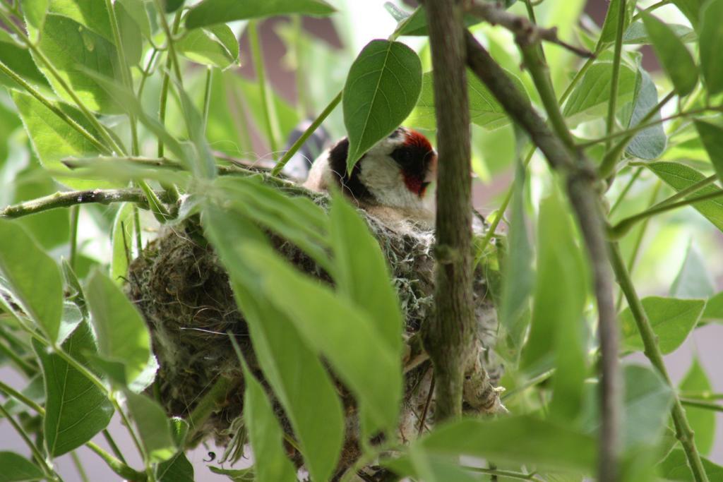 Hostellerie Les Griffons Bourdeilles Bagian luar foto